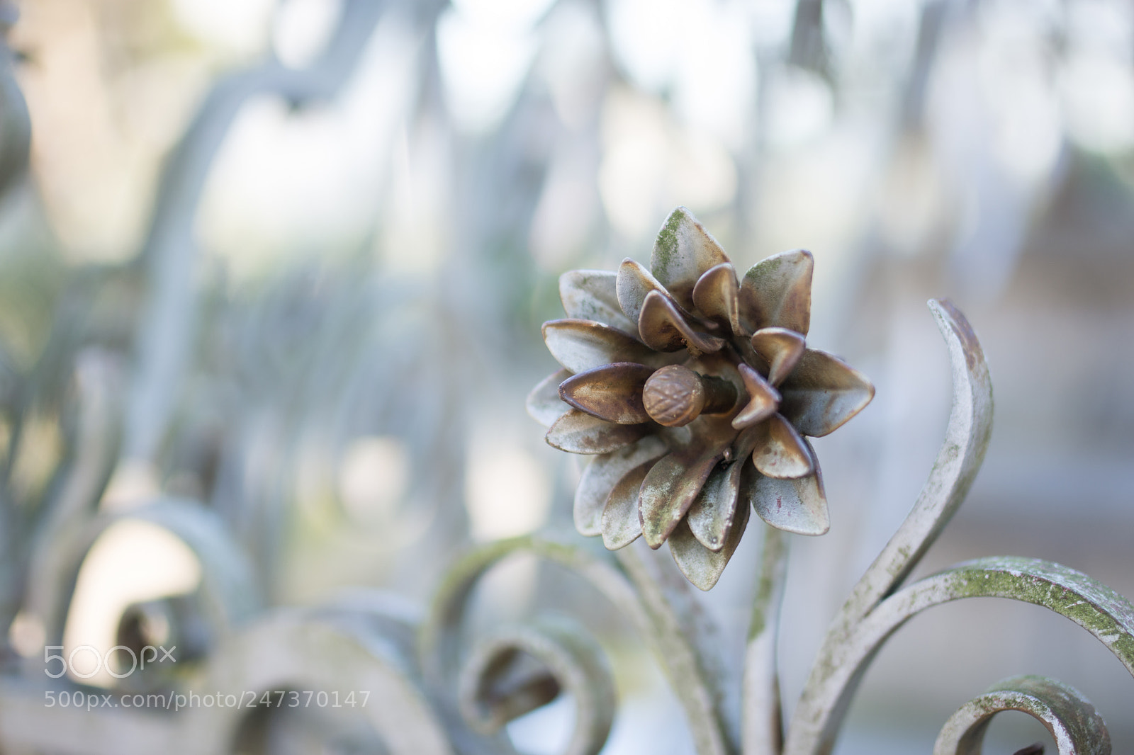 Nikon D7200 sample photo. Iron fence details photography