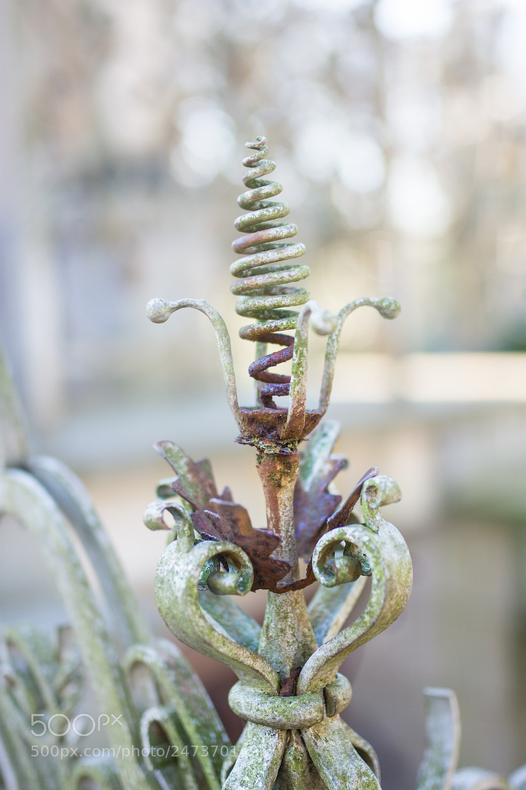 Nikon D7200 sample photo. Iron fence details photography