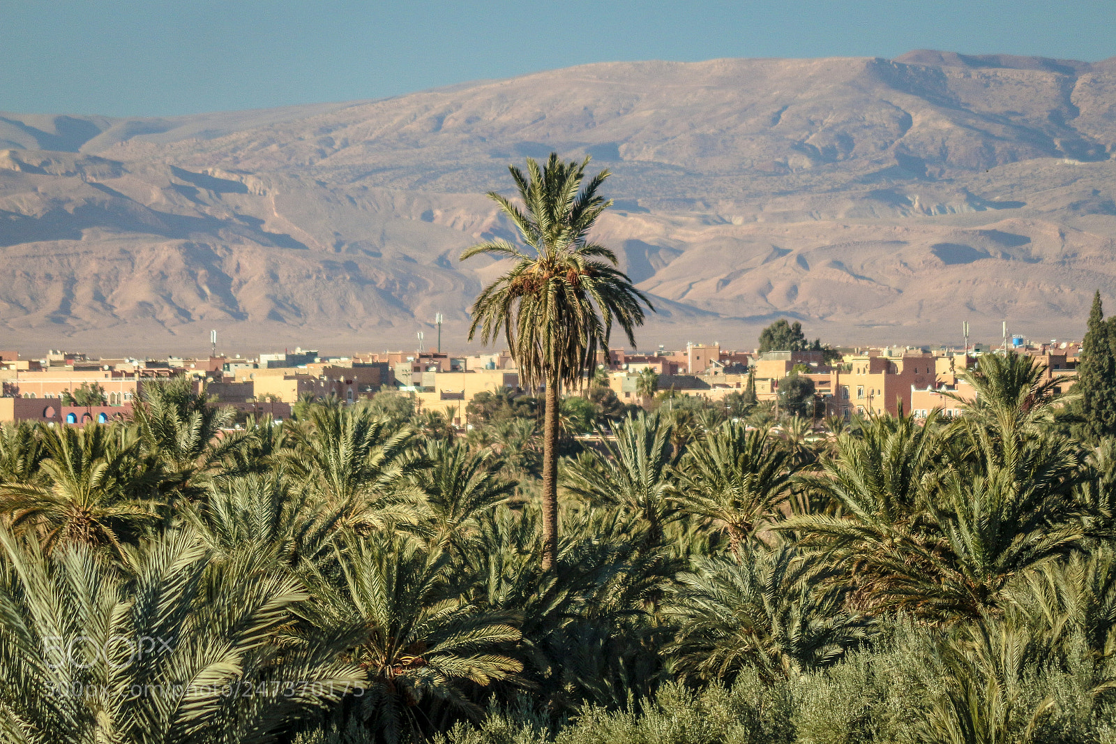 Canon EOS 700D (EOS Rebel T5i / EOS Kiss X7i) sample photo. Ouarzazate, morocco photography