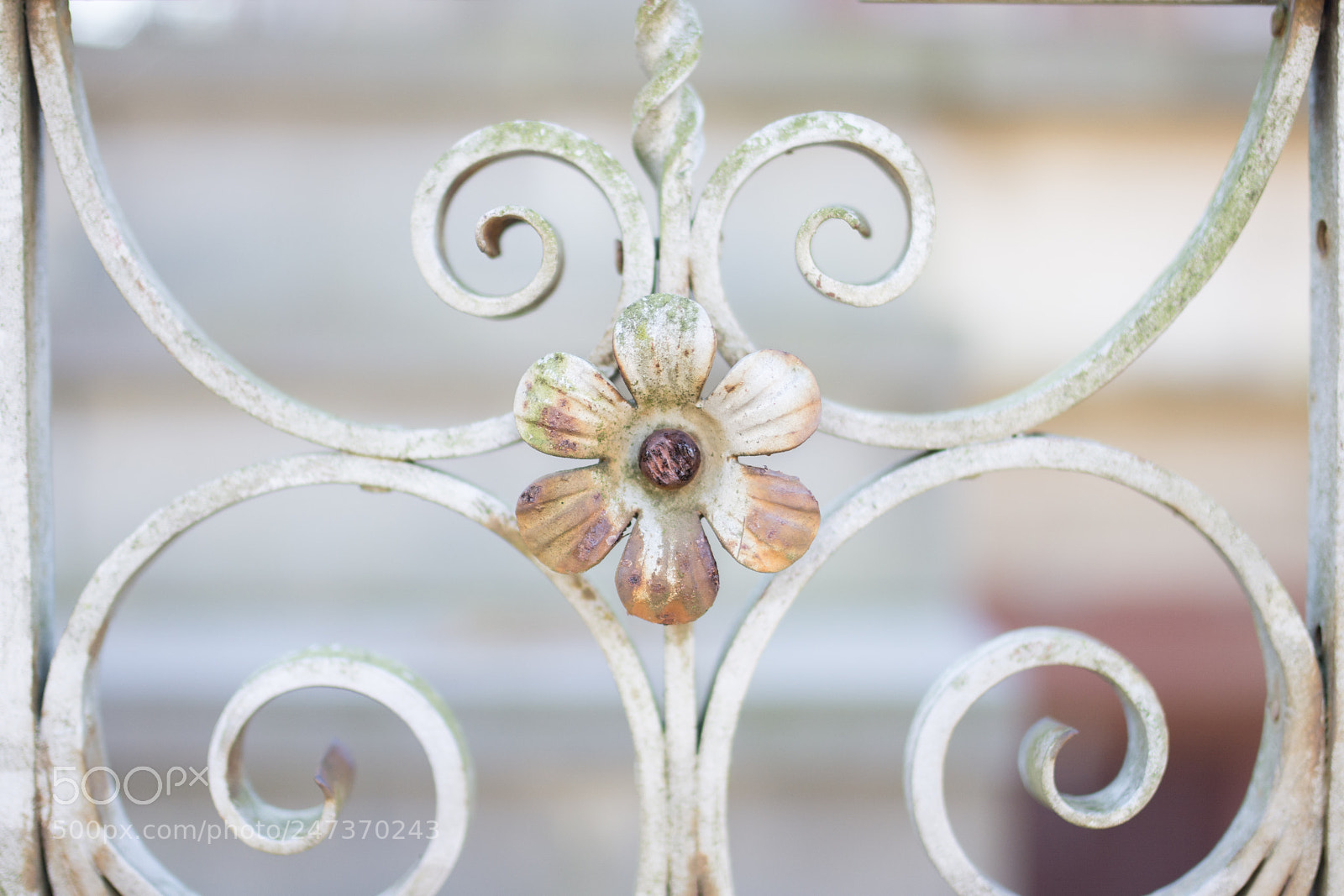 Nikon D7200 sample photo. Iron fence details photography