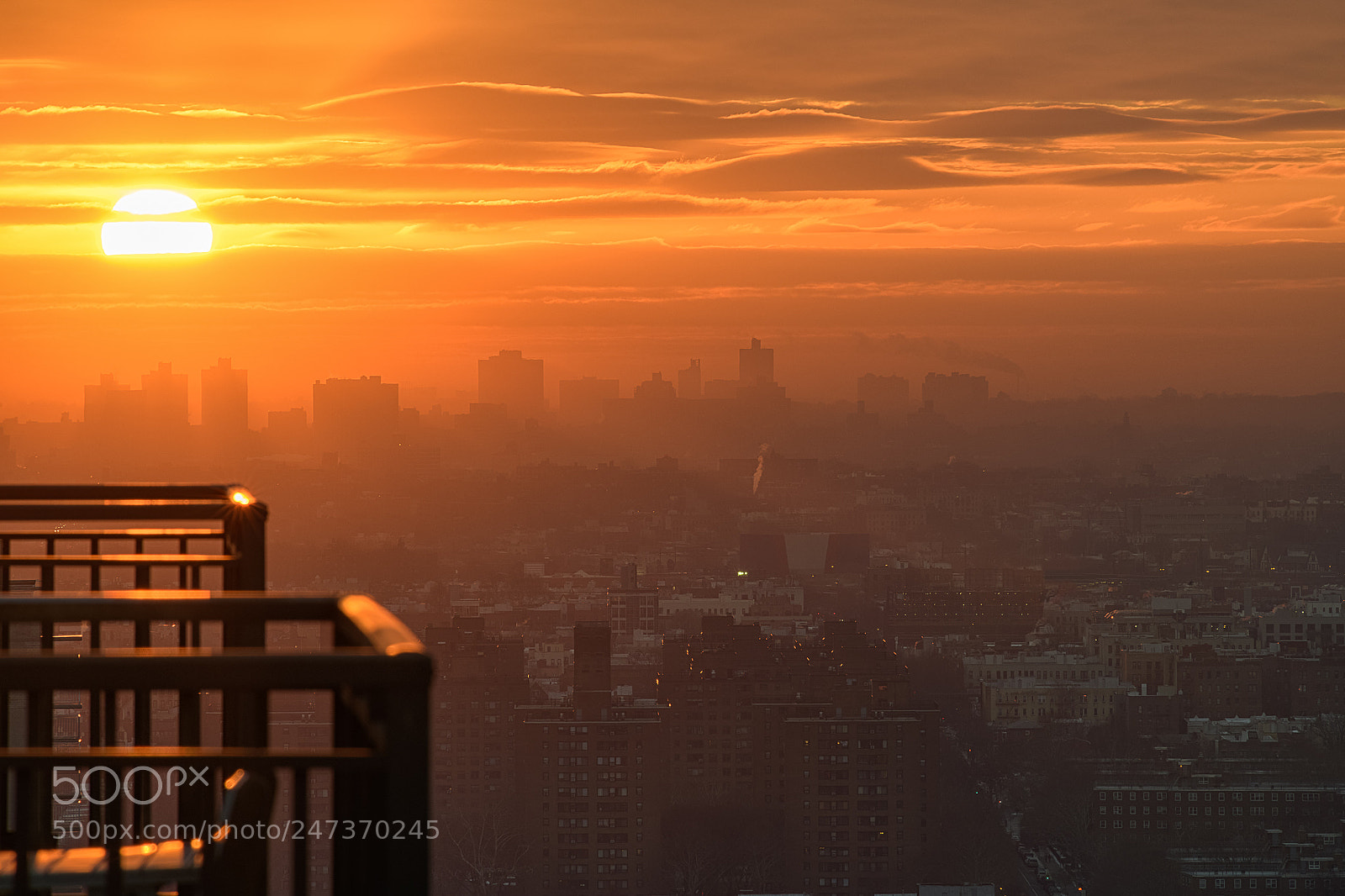 Nikon D850 sample photo. Forest hills sunrise photography