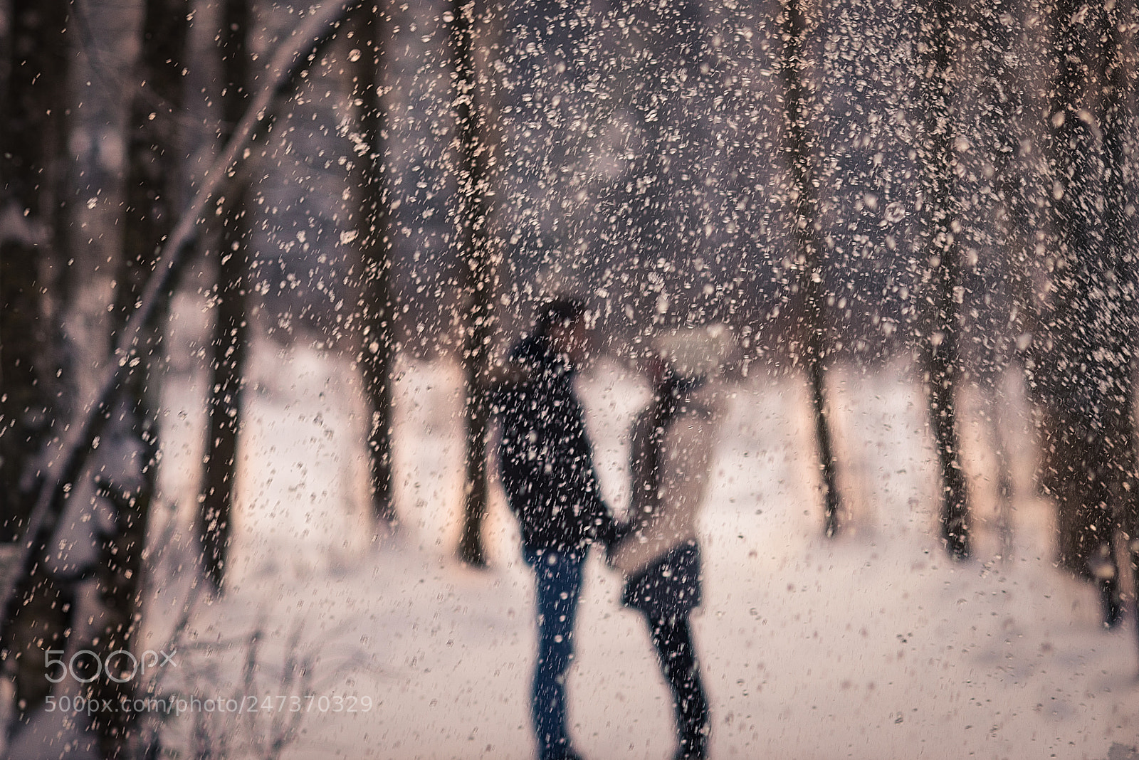 Nikon D610 sample photo. Two photography