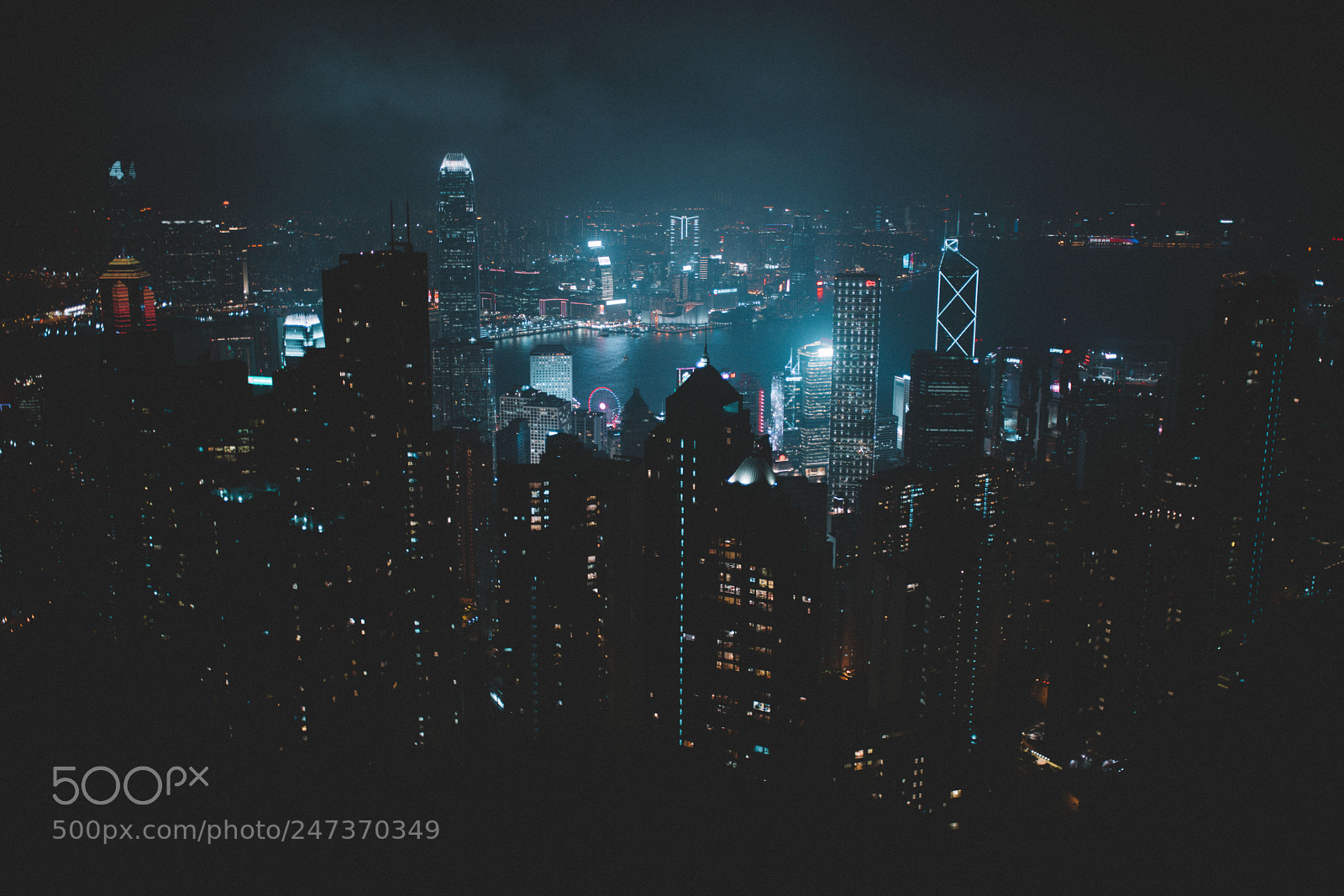 Sony a7R II sample photo. Untitled photography