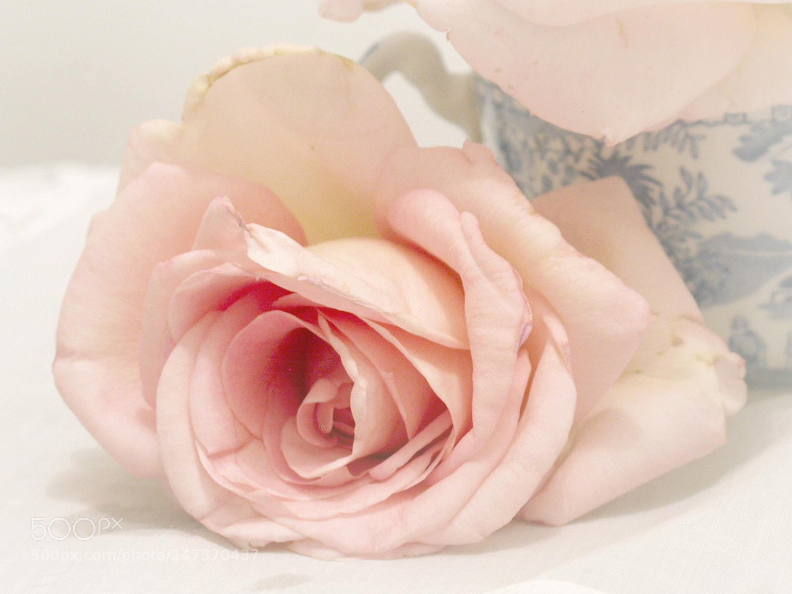 Olympus OM-D E-M10 II sample photo. Romance photography