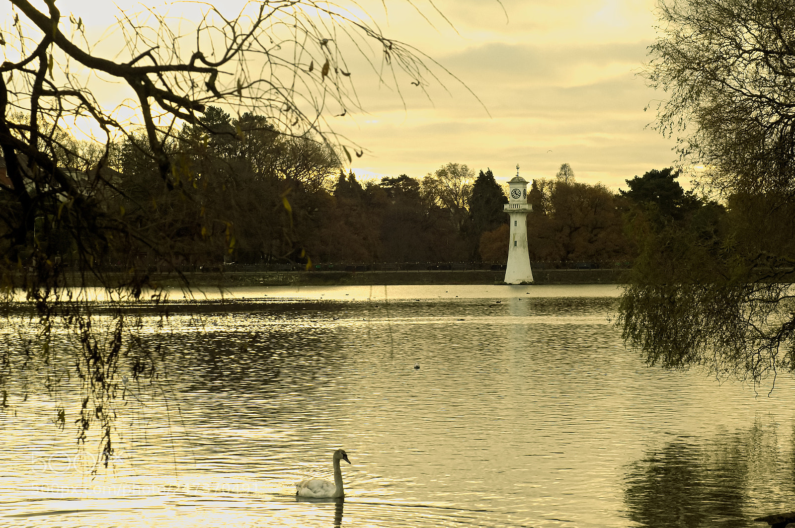 Nikon D2X sample photo. Roath park photography