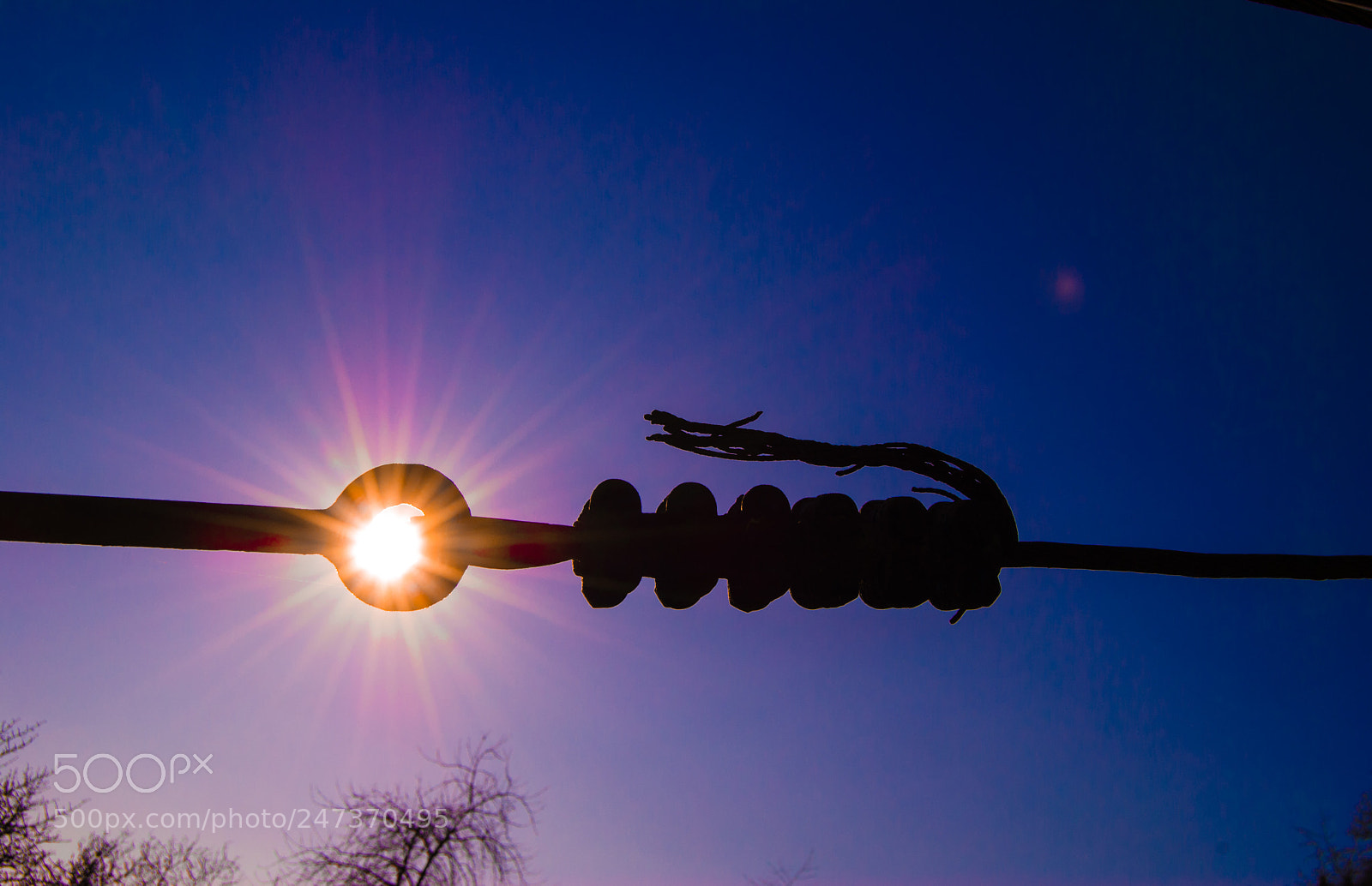 Nikon D3000 sample photo. Sun and wire rope photography