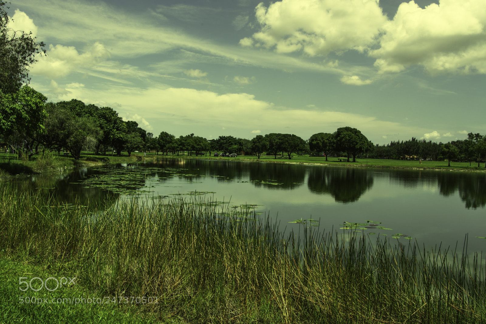 Nikon D7100 sample photo. Out in the open photography