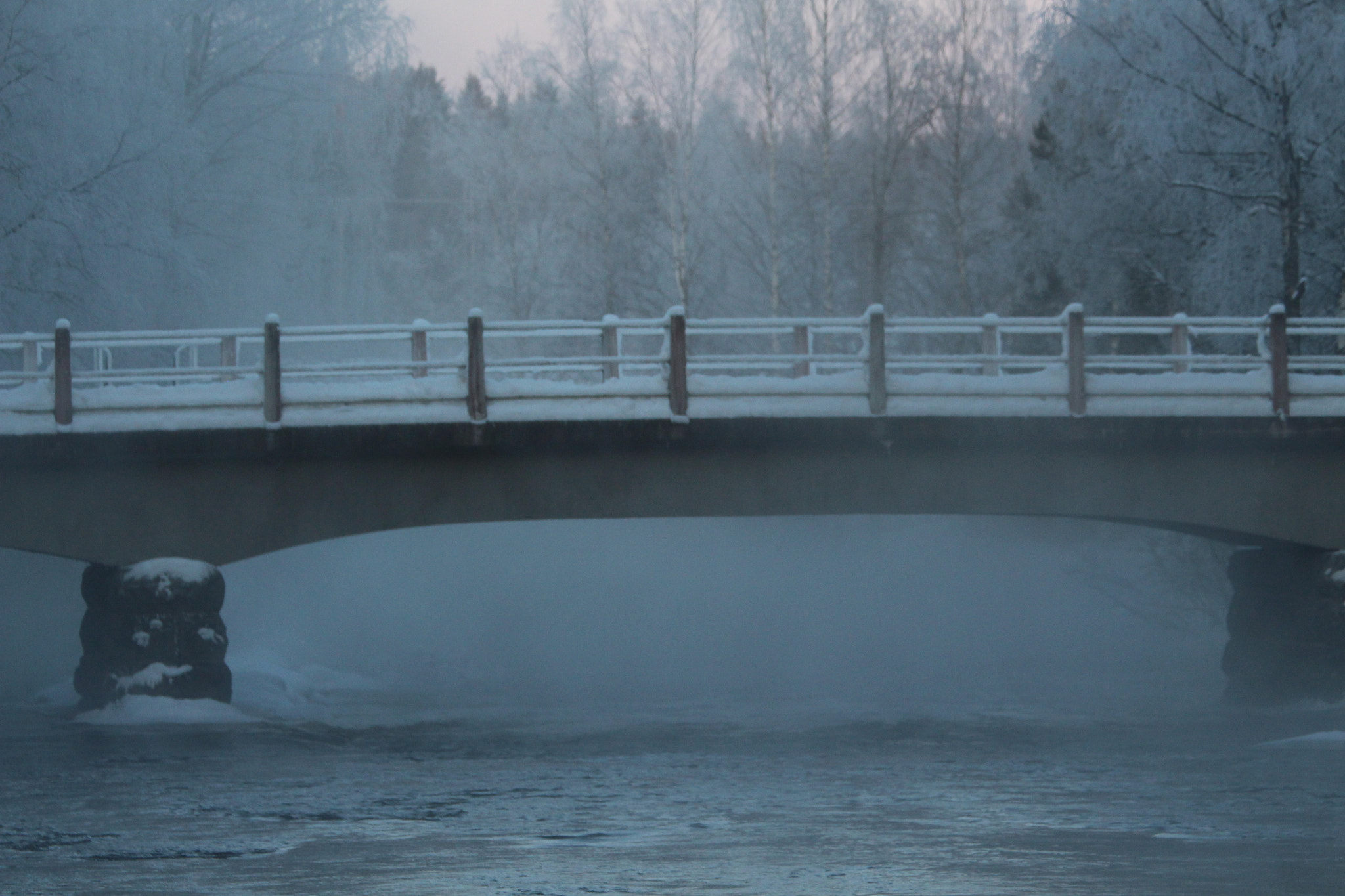 Canon EOS 700D (EOS Rebel T5i / EOS Kiss X7i) sample photo. The morning mist of the rabids. photography