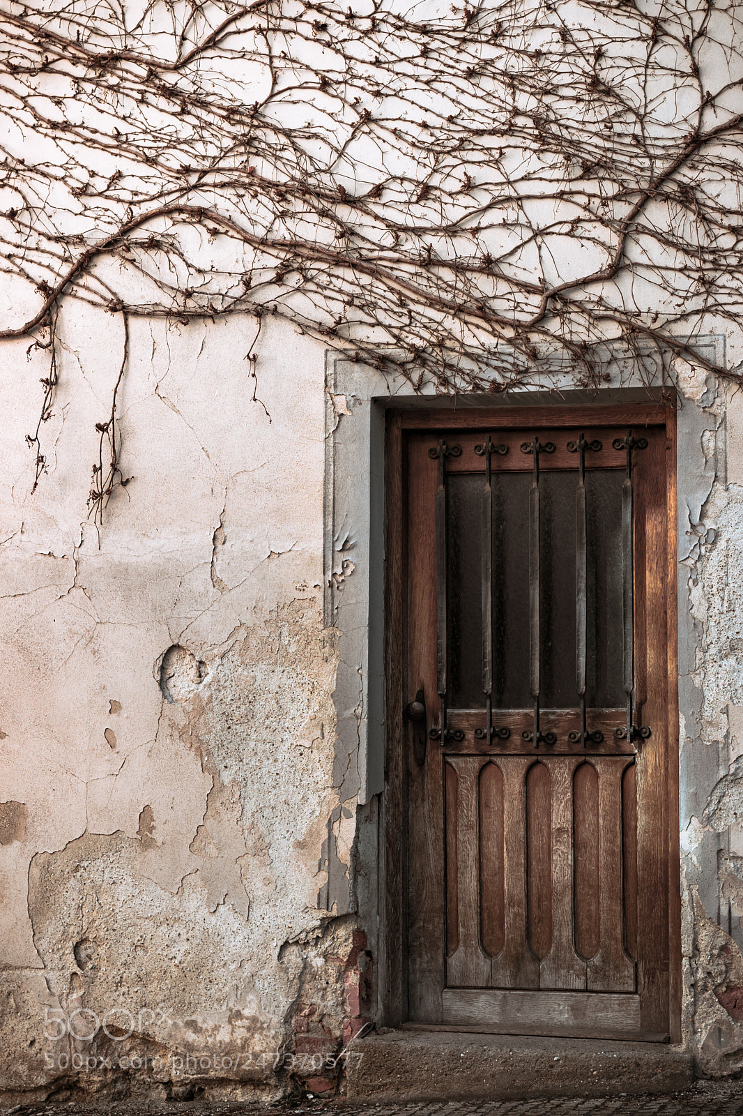 Canon EOS 80D sample photo. Vintage entrance photography