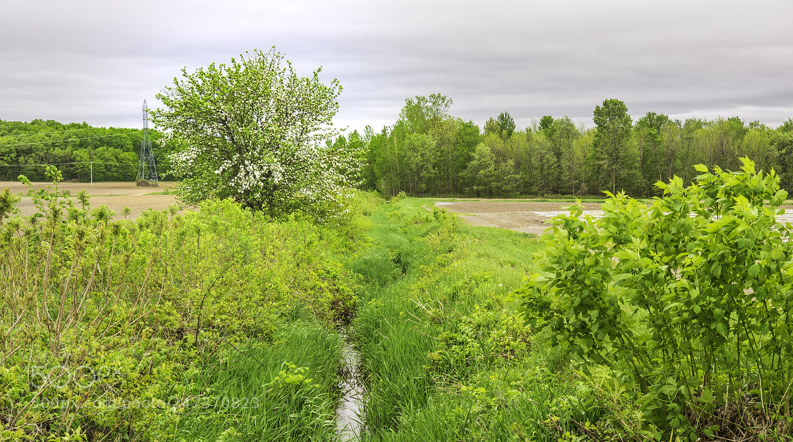 Olympus OM-D E-M1 sample photo. Nature is waking up. photography