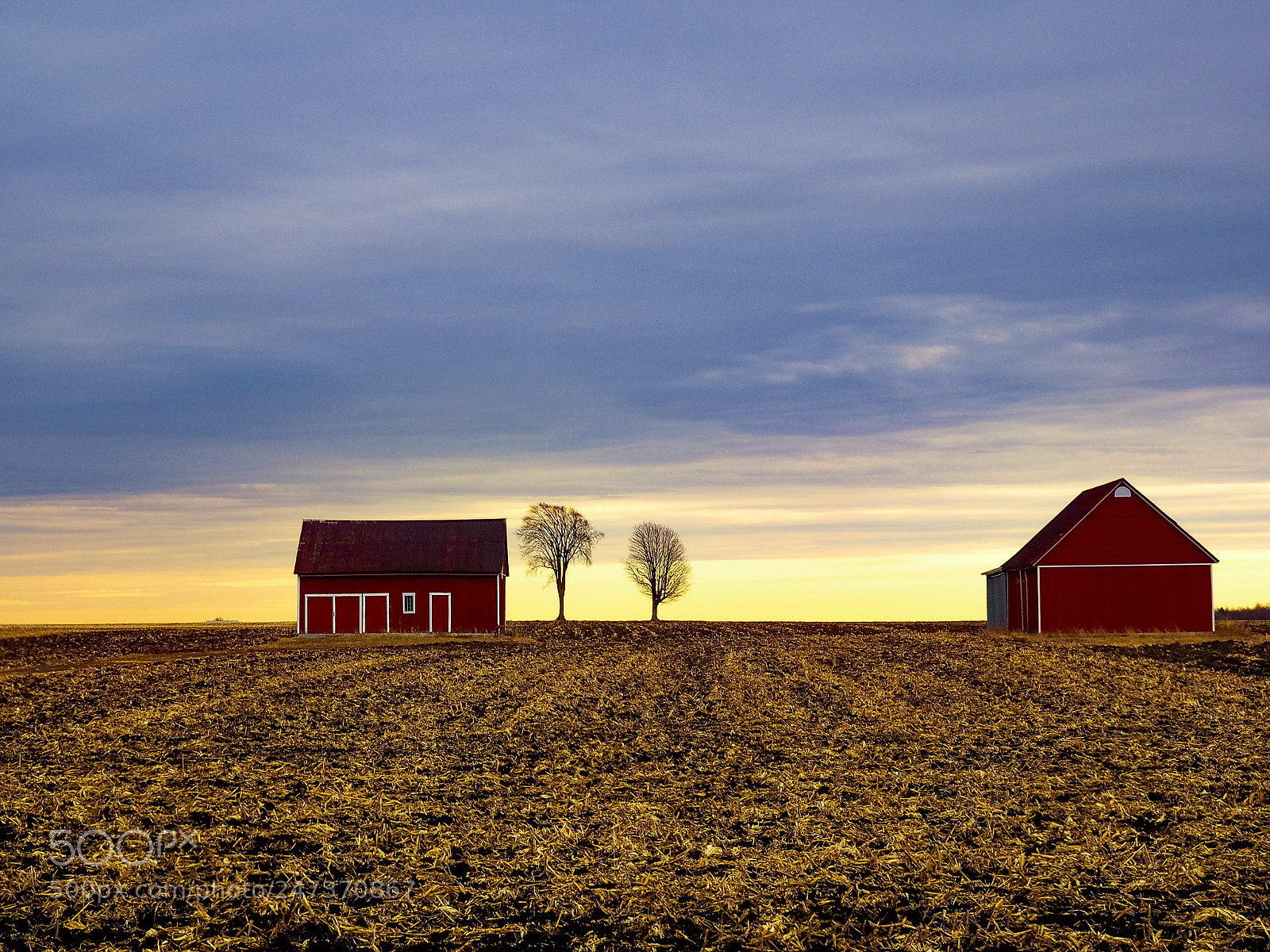 Olympus OM-D E-M1 sample photo. The red barns. photography