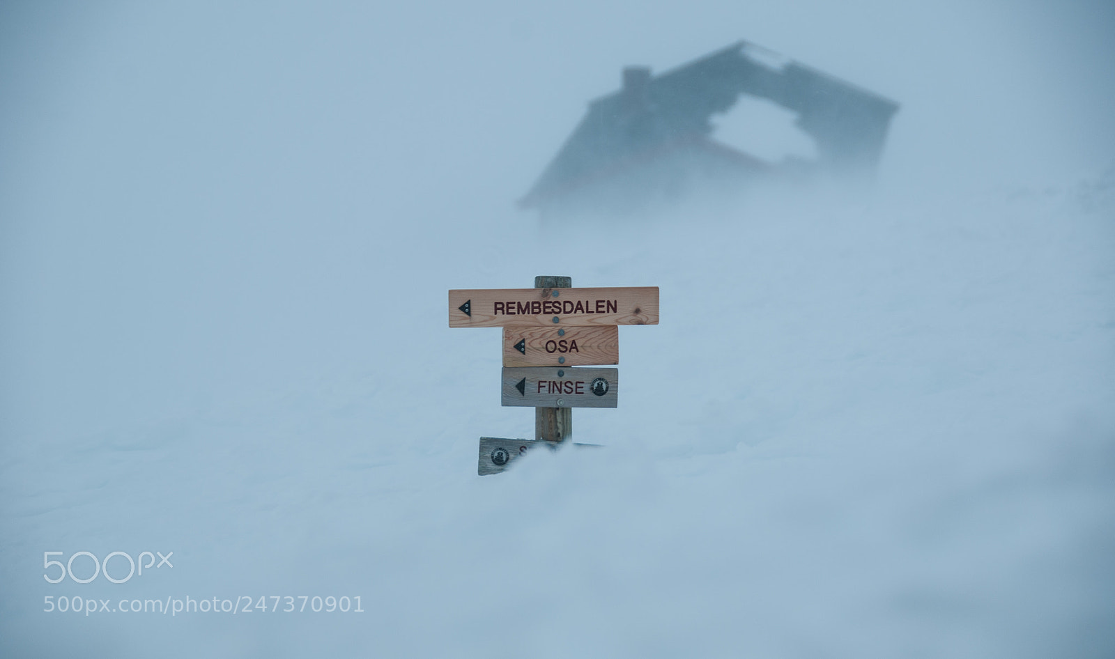 Nikon D300S sample photo. Sign in the snow photography