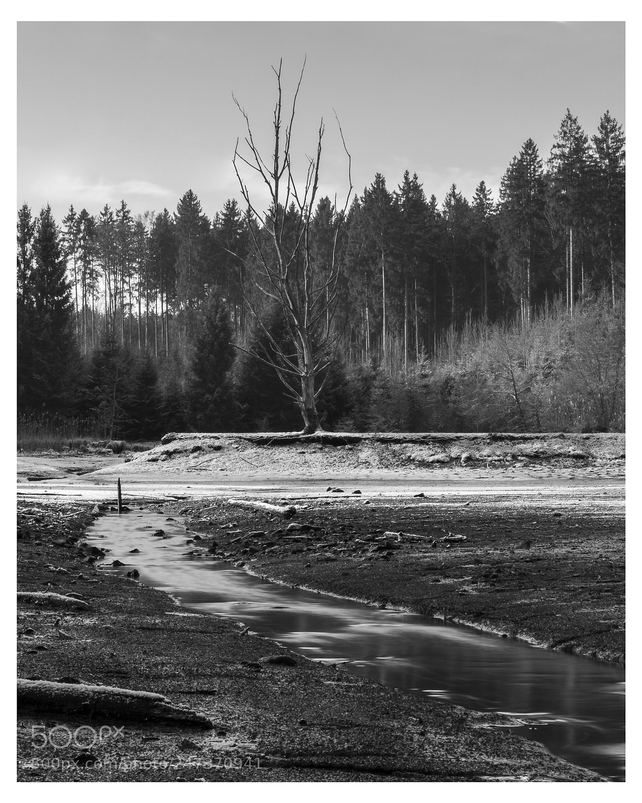 Canon EOS 7D Mark II sample photo. Dead lake photography
