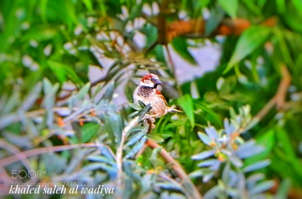 Canon EOS 80D sample photo. Untitled photography