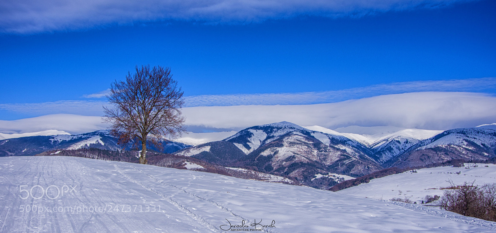 Pentax K-70 sample photo. Tree "samotár" photography