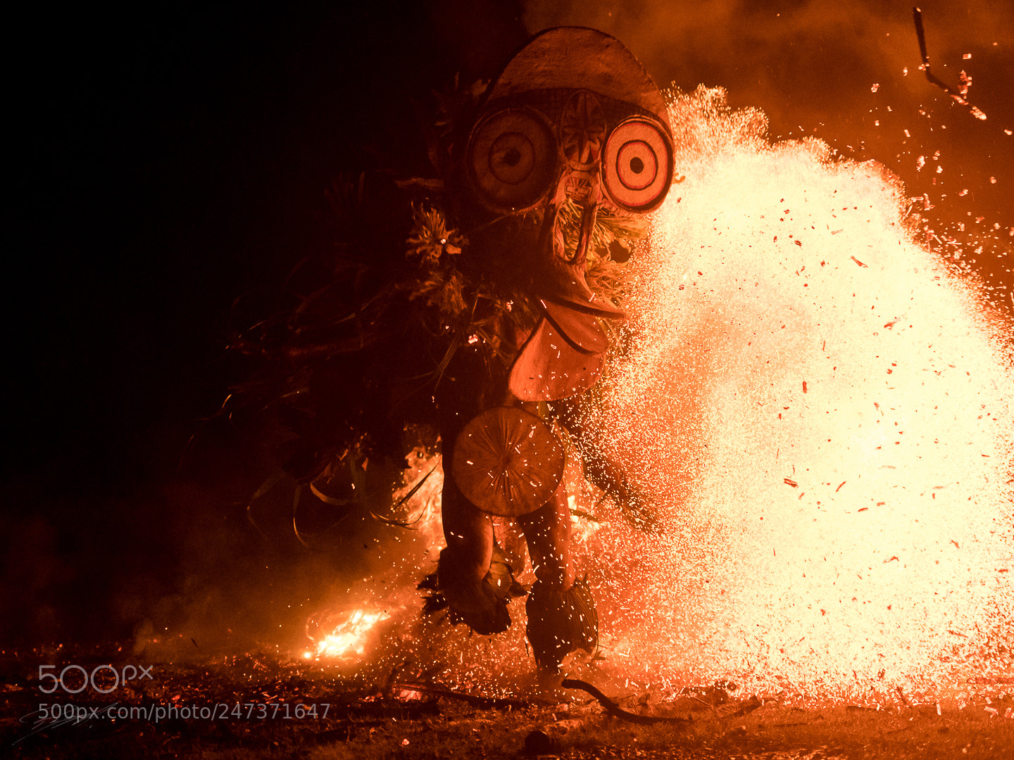 Nikon D5 sample photo. Through the flames photography
