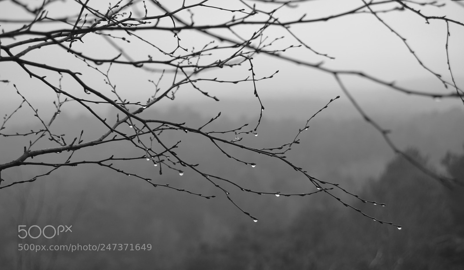 Nikon D3100 sample photo. Du bout des doigts photography