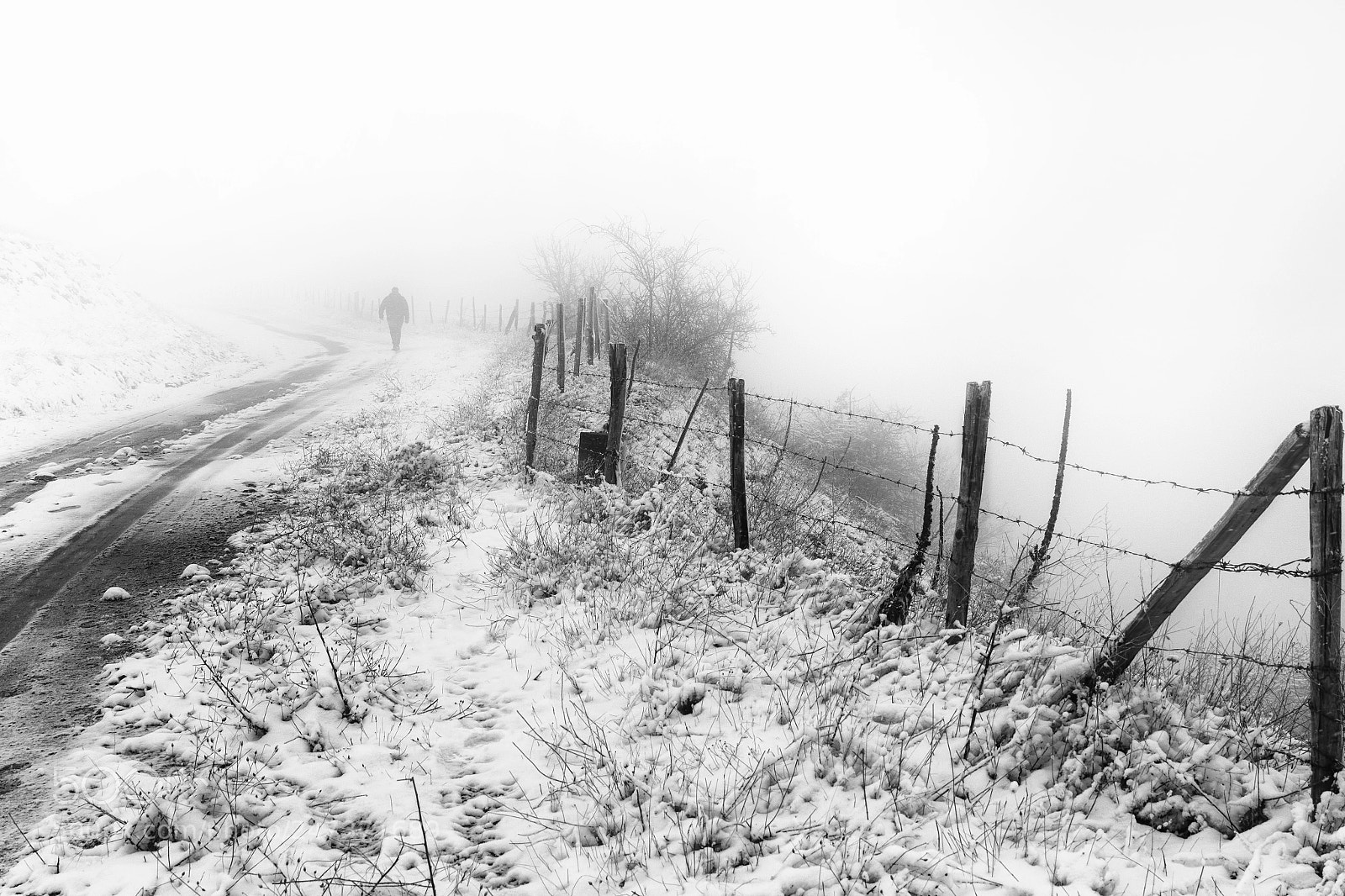 Nikon D7200 sample photo. Lost in snow photography