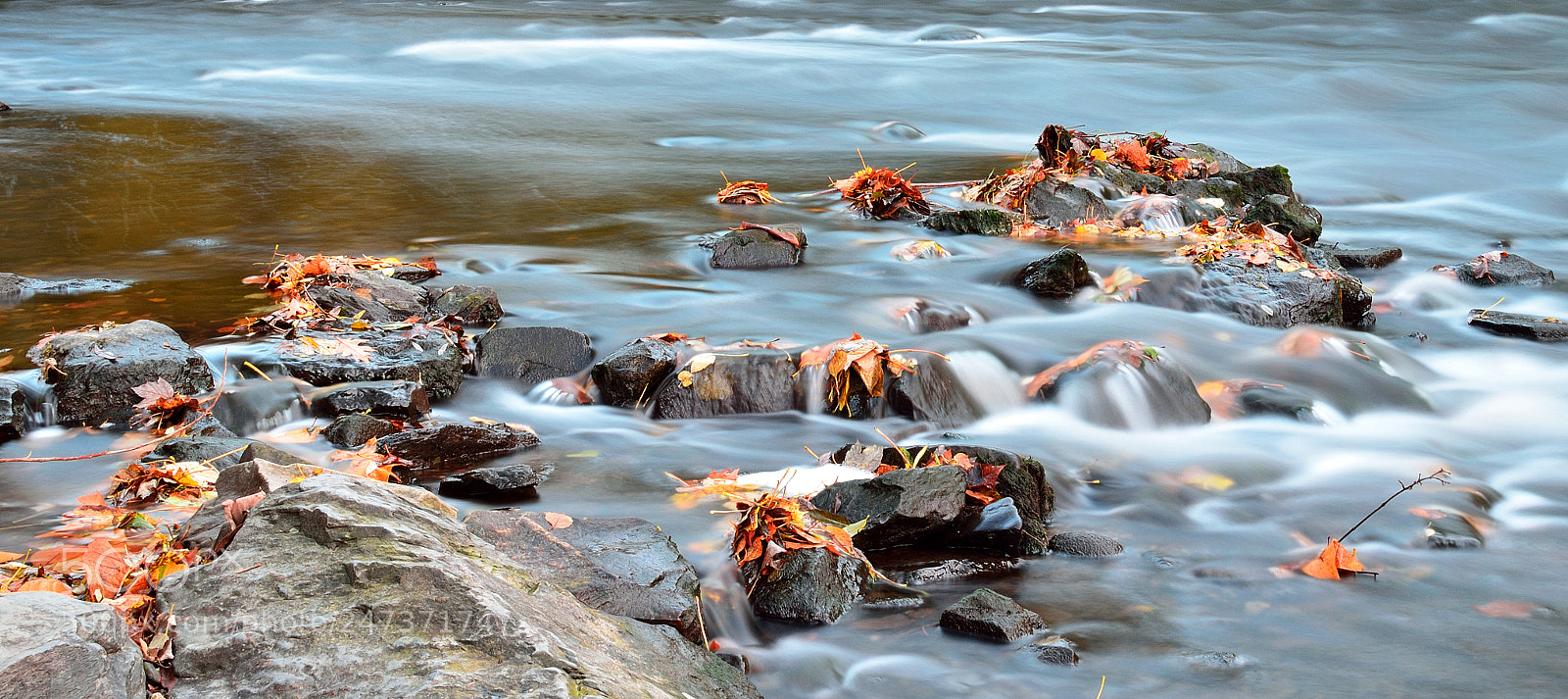 Nikon D5100 sample photo. The autumn photography