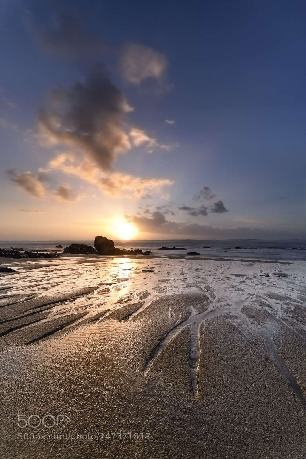 Nikon D610 sample photo. Sunset_2018 photography
