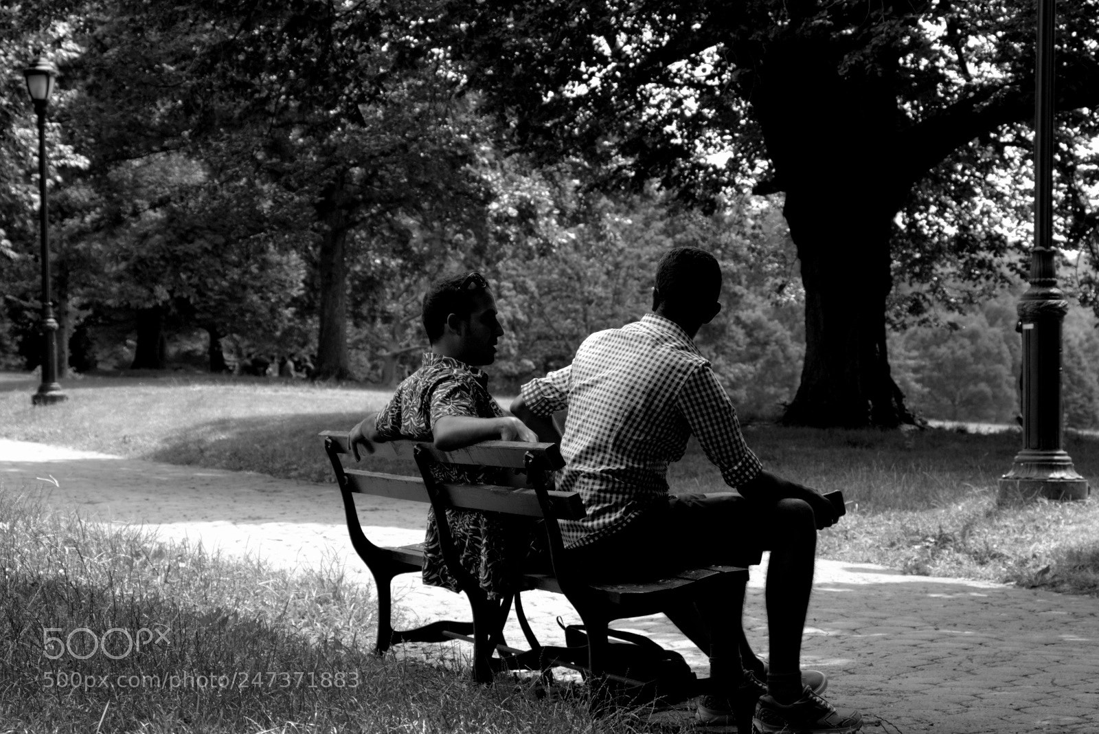Canon EOS 700D (EOS Rebel T5i / EOS Kiss X7i) sample photo. The chilling bros photography
