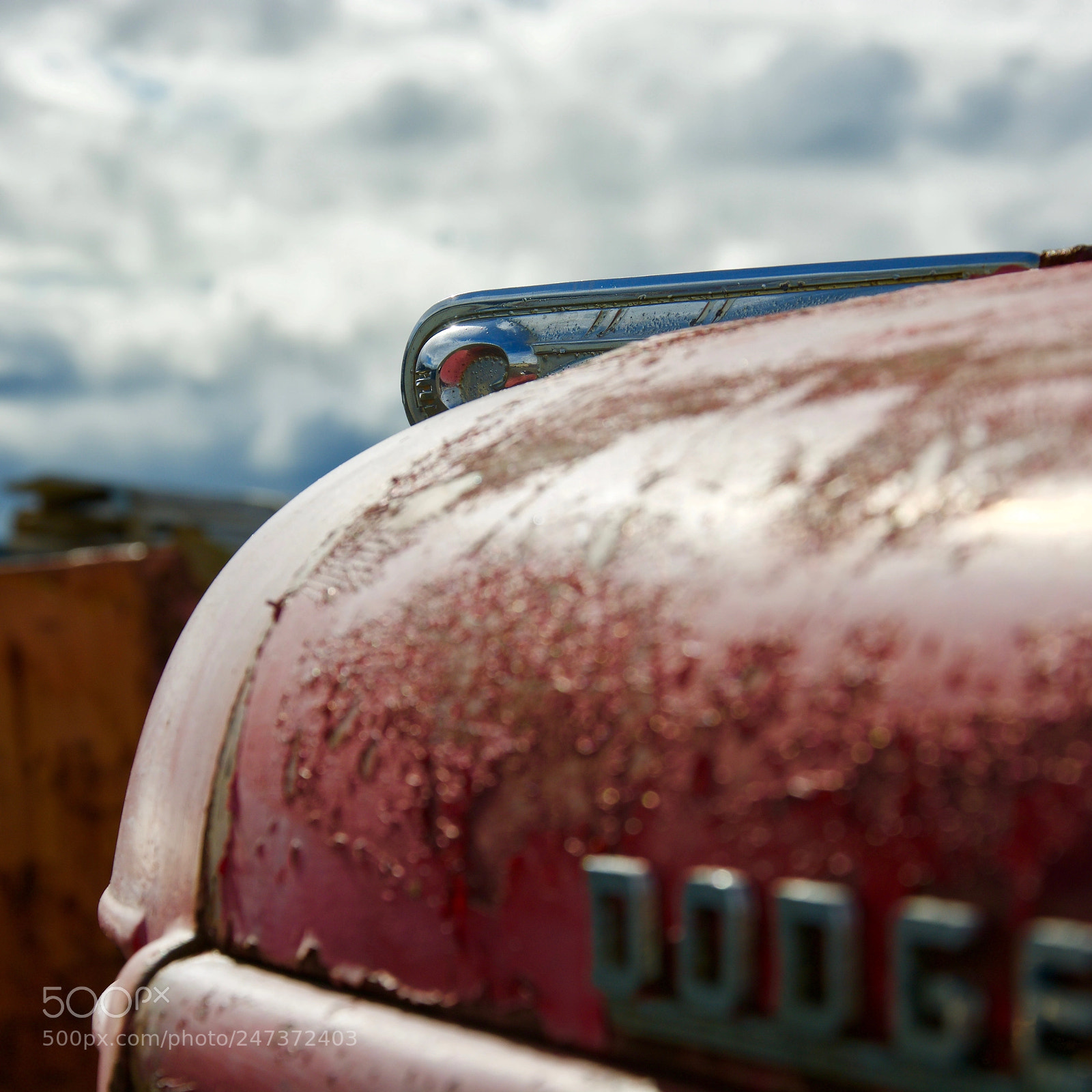 Nikon D7100 sample photo. The dodge, detail photography