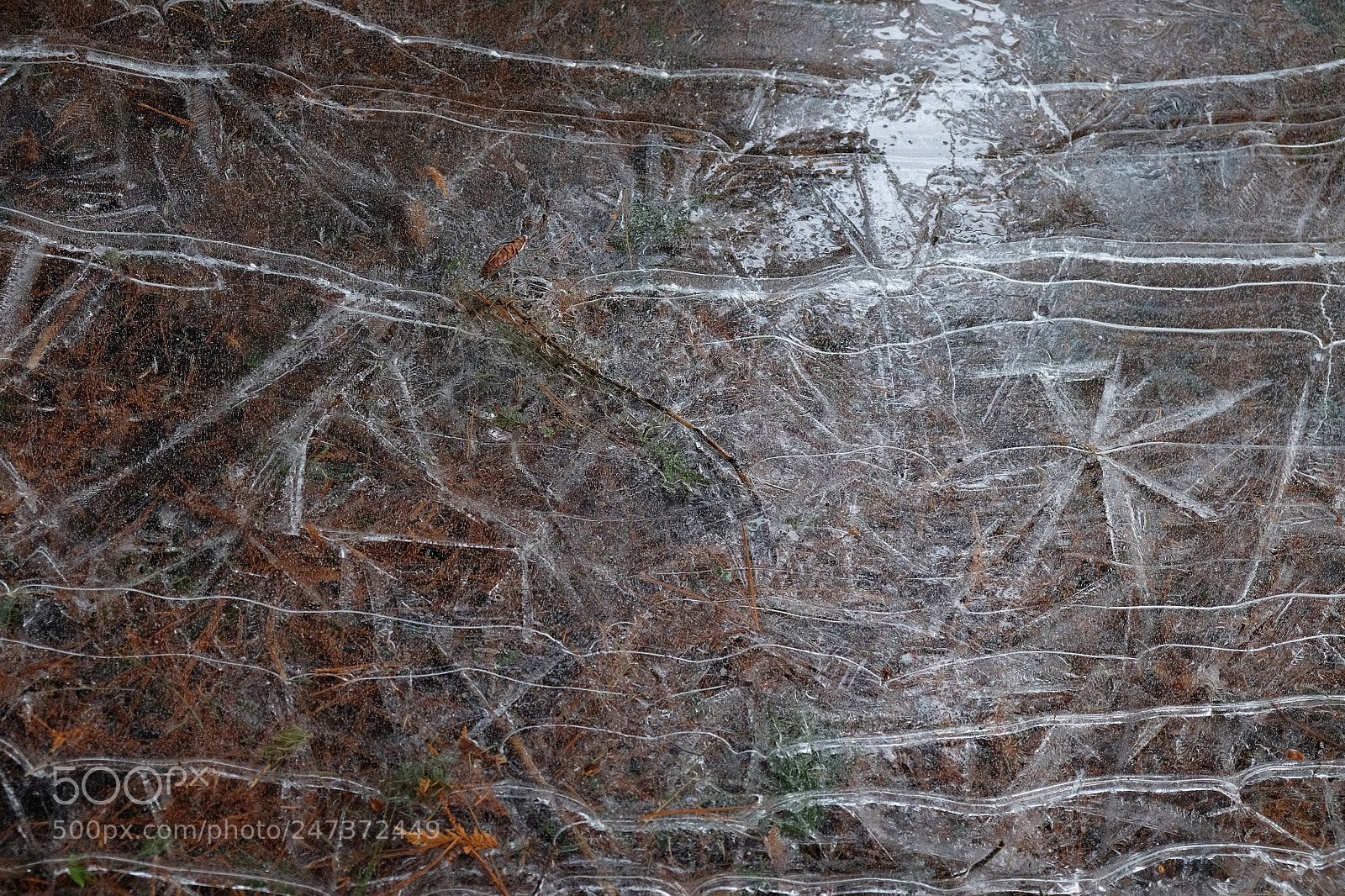 Fujifilm X-T10 sample photo. Winter hike in the photography