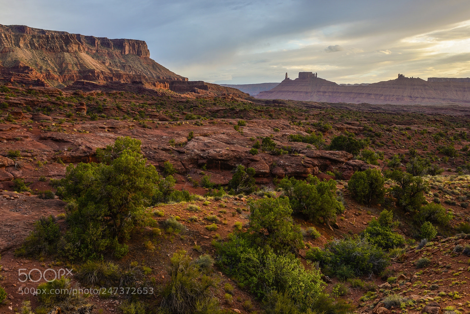 Nikon D800 sample photo. Desert sunset photography