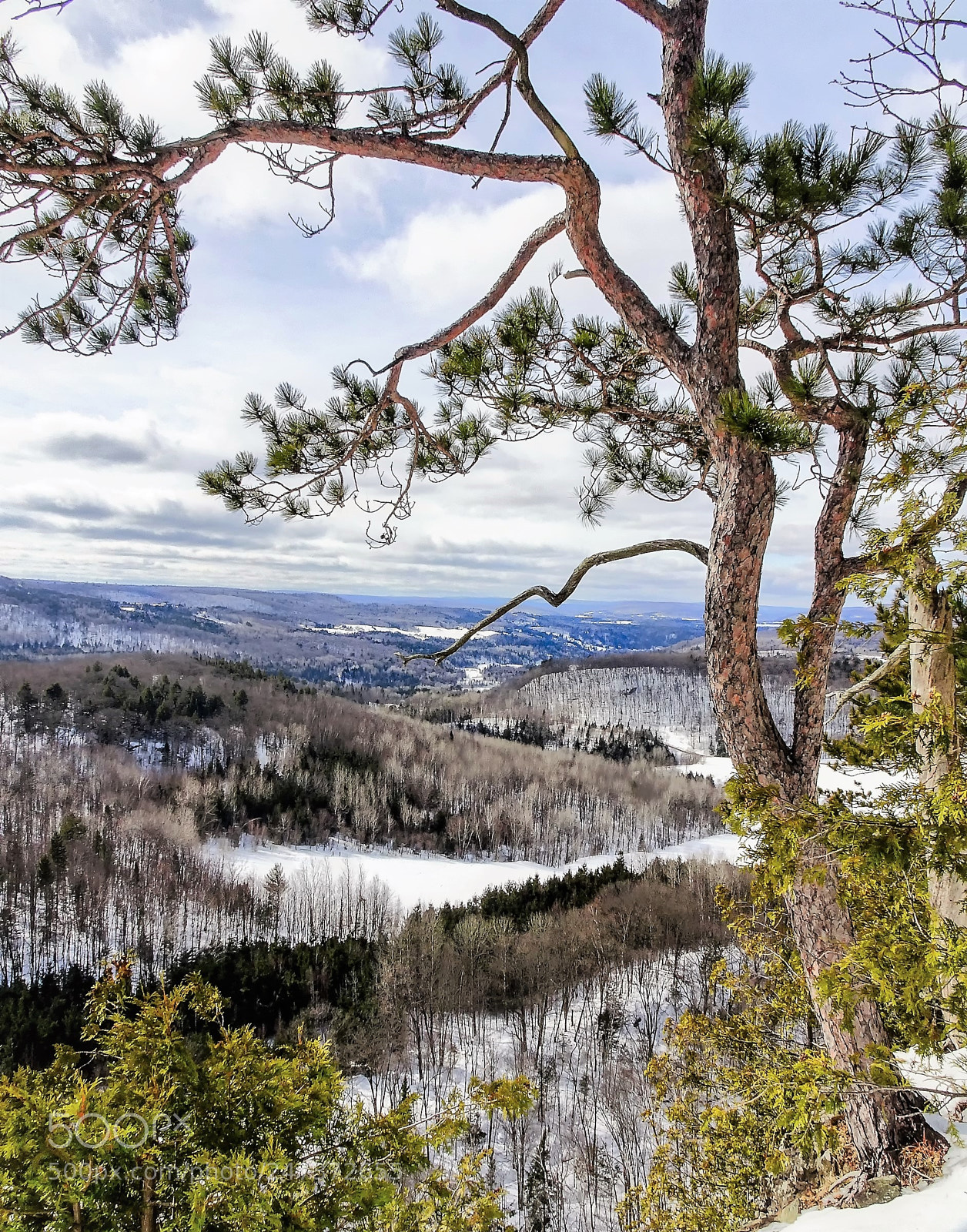 Sony Cyber-shot DSC-HX80 sample photo. Winter scenery photography