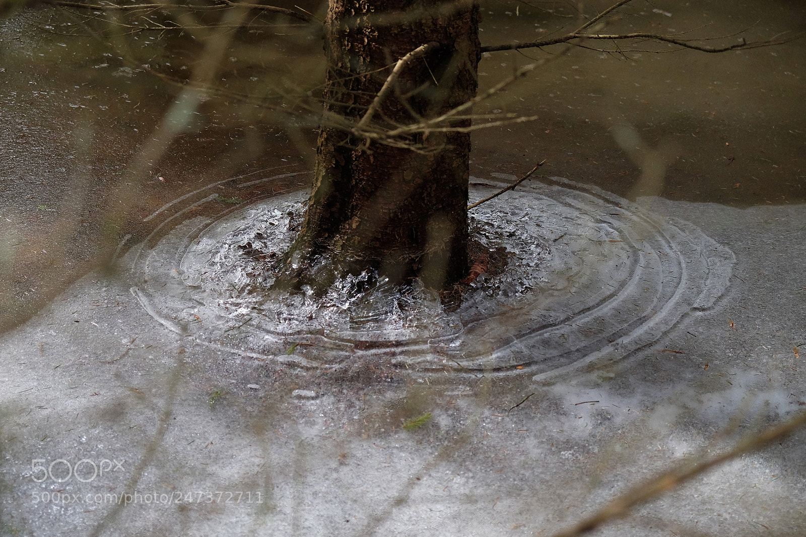 Fujifilm X-T10 sample photo. Winter hike in the photography