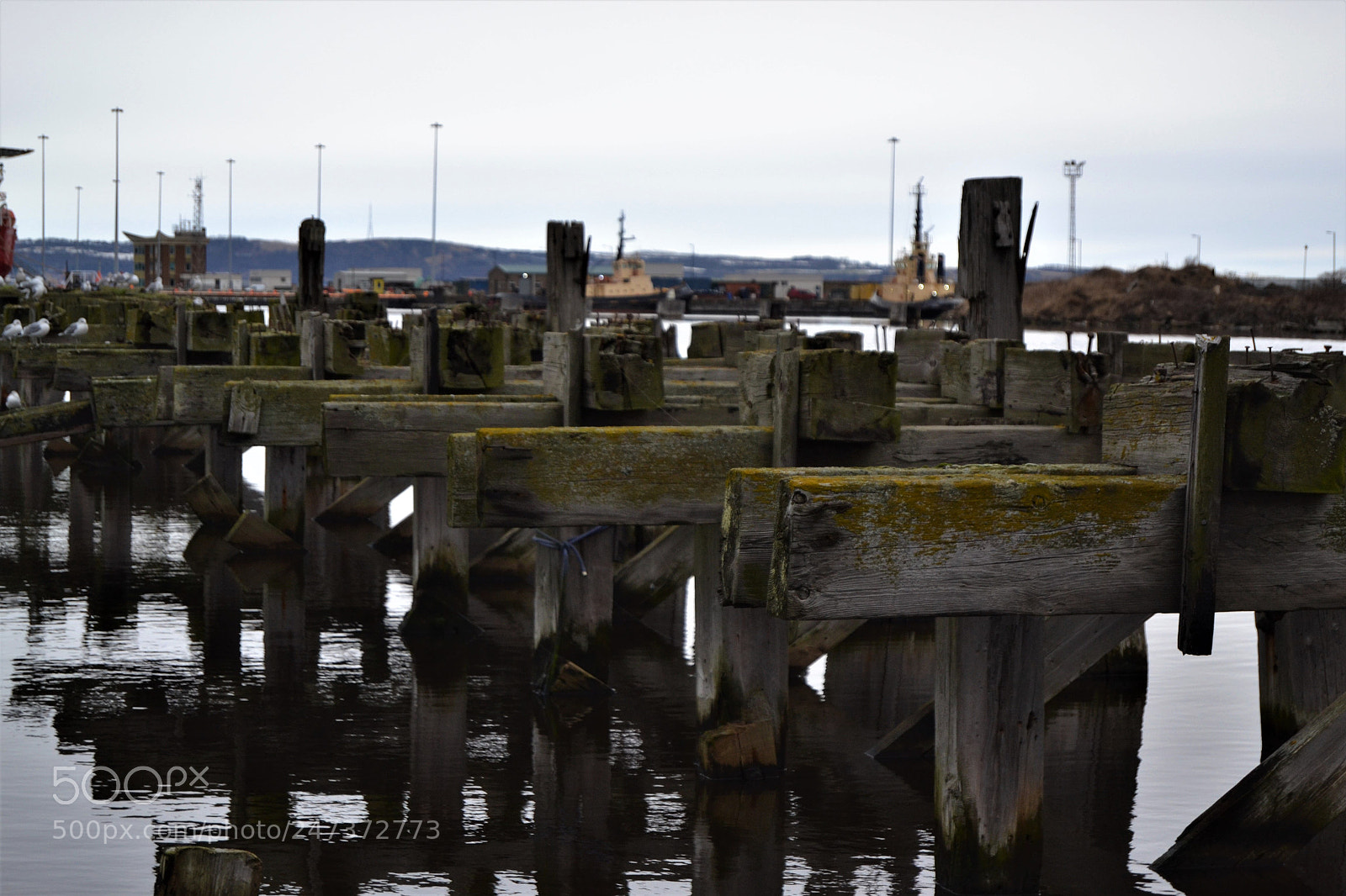 Nikon D3100 sample photo. Foto puerto de edinburgh!! photography