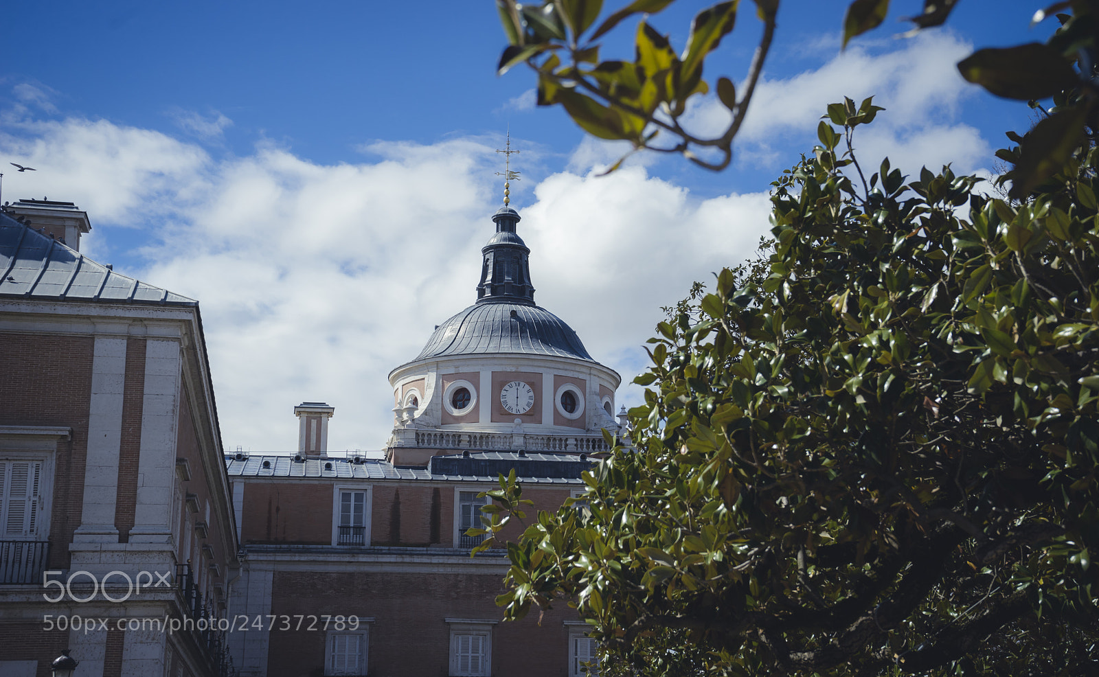 Sony a7 sample photo. Gardens of the city photography