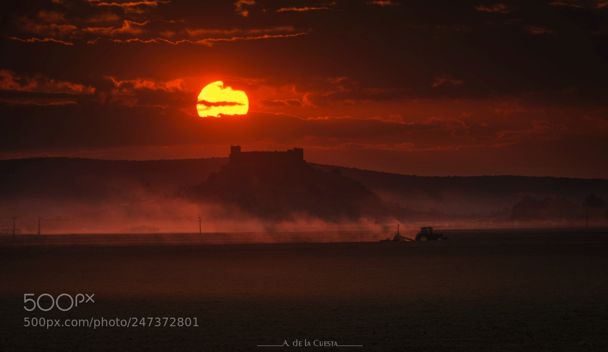 Nikon D7100 sample photo. Plowing at dusk photography