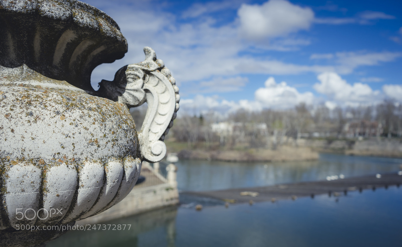 Sony a7 sample photo. Gardens of the city photography