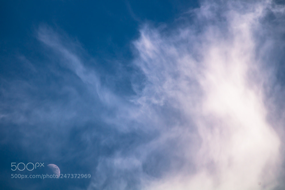 Sony SLT-A58 sample photo. Daytime moon photography