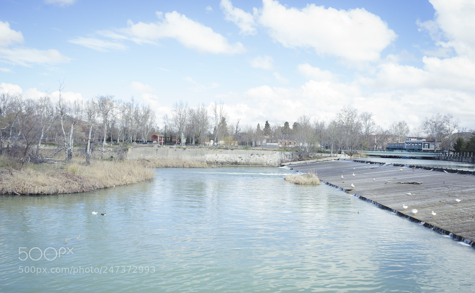 Sony a7 sample photo. Tajo river. gardens of photography