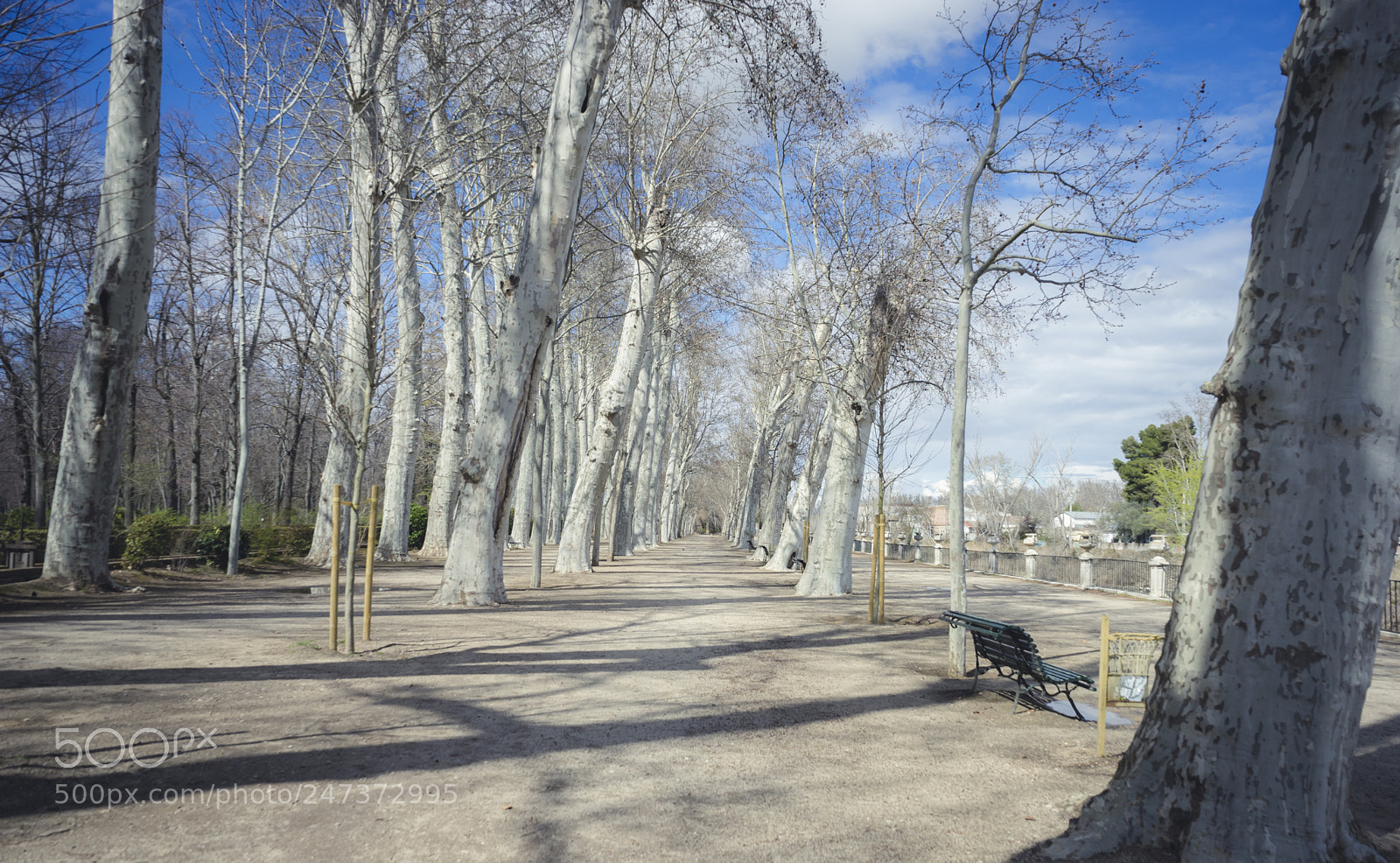 Sony a7 sample photo. Gardens of the city photography
