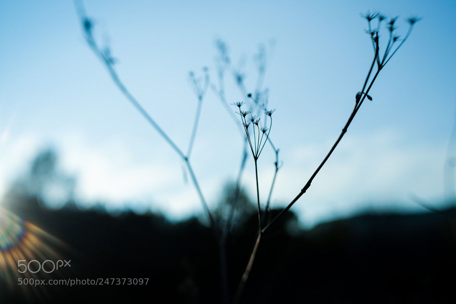 Fujifilm X-T10 sample photo. Untitled photography