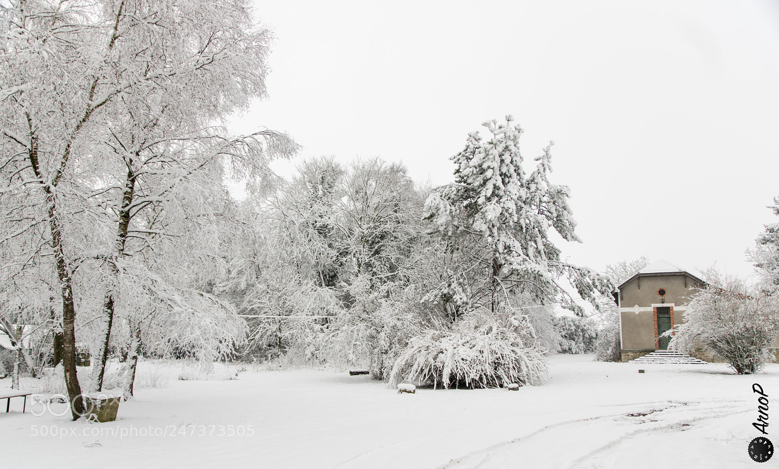 Pentax K-3 sample photo. Neige en campagne. photography