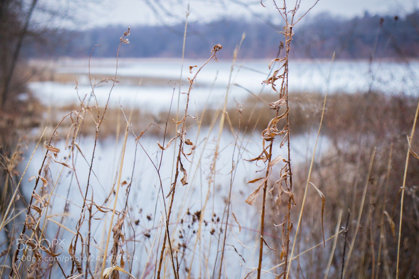 Canon EOS 200D (EOS Rebel SL2 / EOS Kiss X9) sample photo. Asylum lake photography