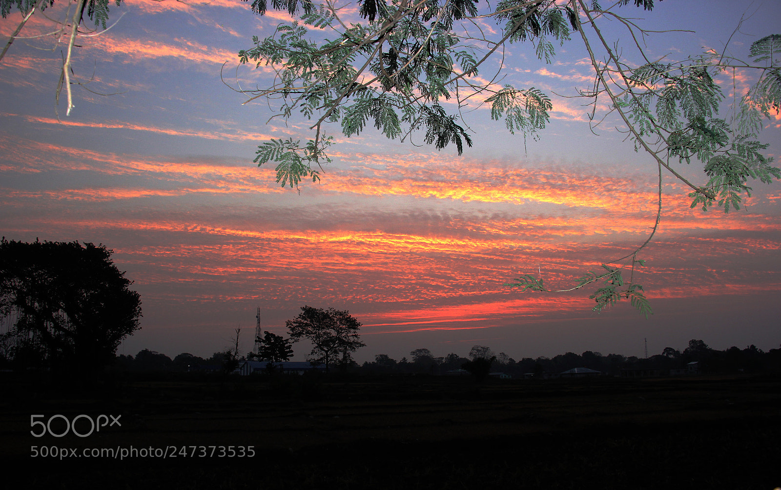 Canon EOS 60D sample photo. Nature calling photography
