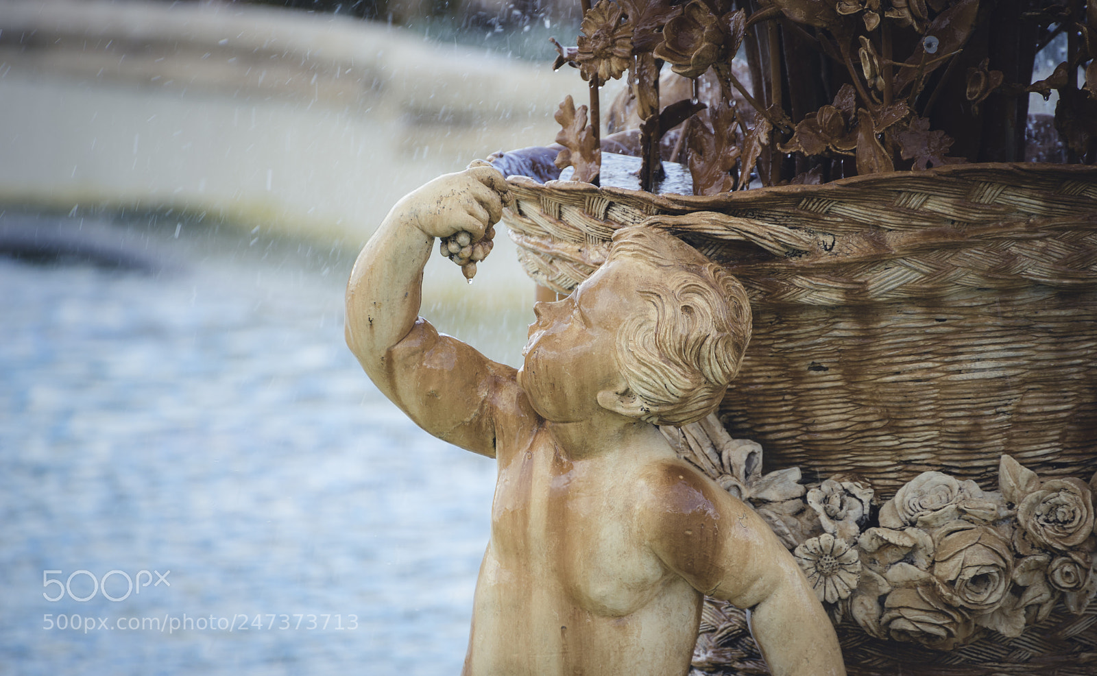 Sony a7 sample photo. Heritage, gardens of the photography
