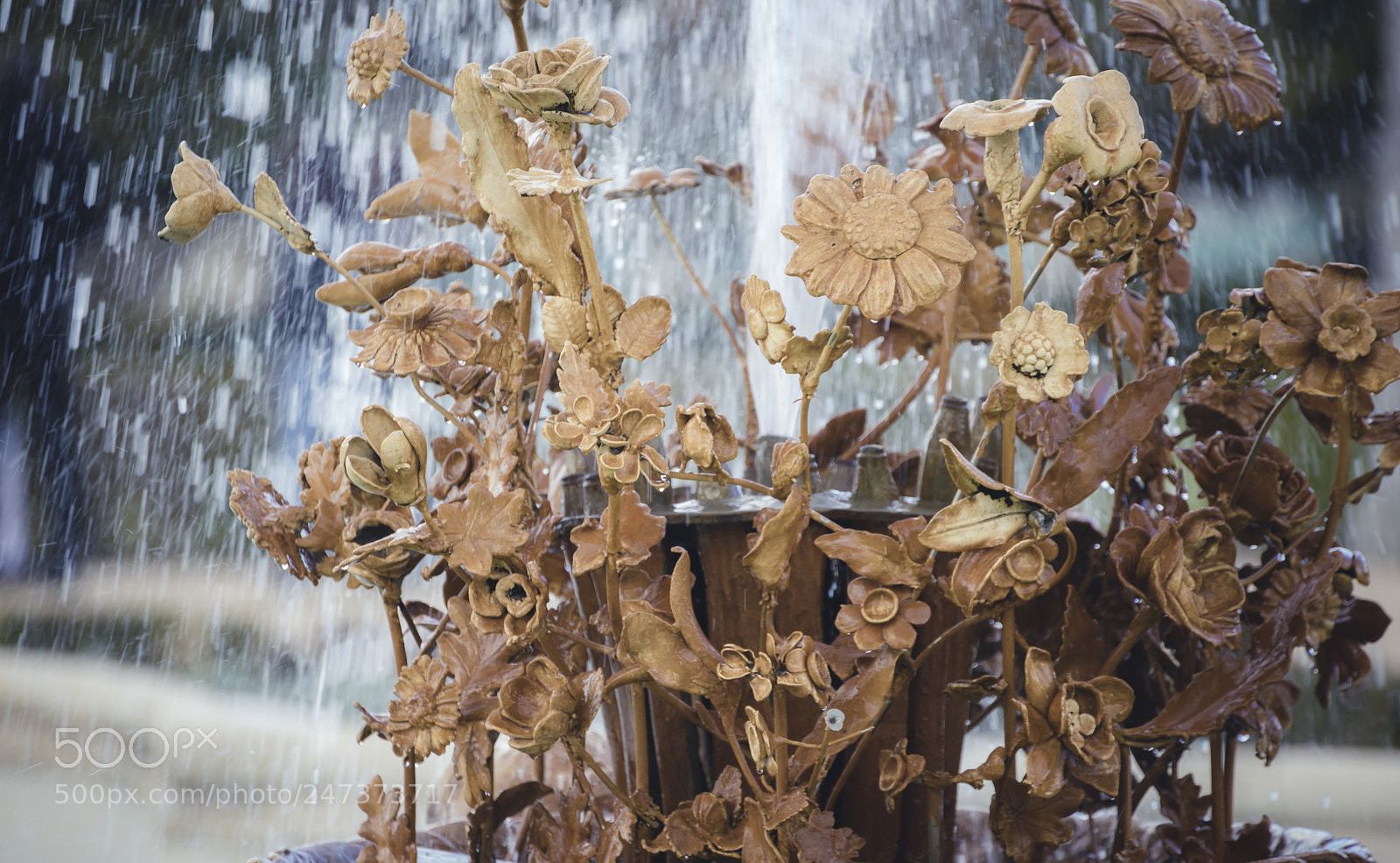 Sony a7 sample photo. Gardens of the city photography