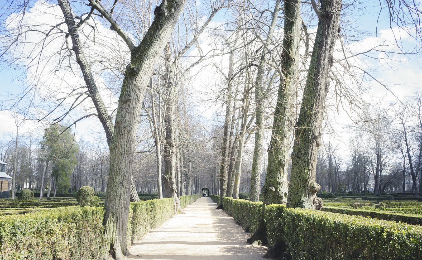 Sony a7 sample photo. Gardens of the city photography
