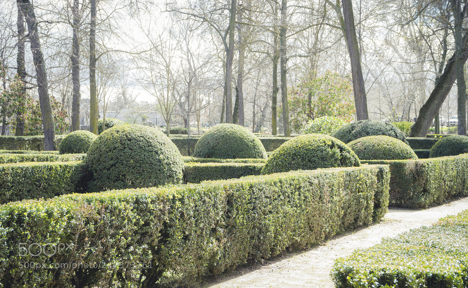 Sony a7 sample photo. Gardens of the city photography