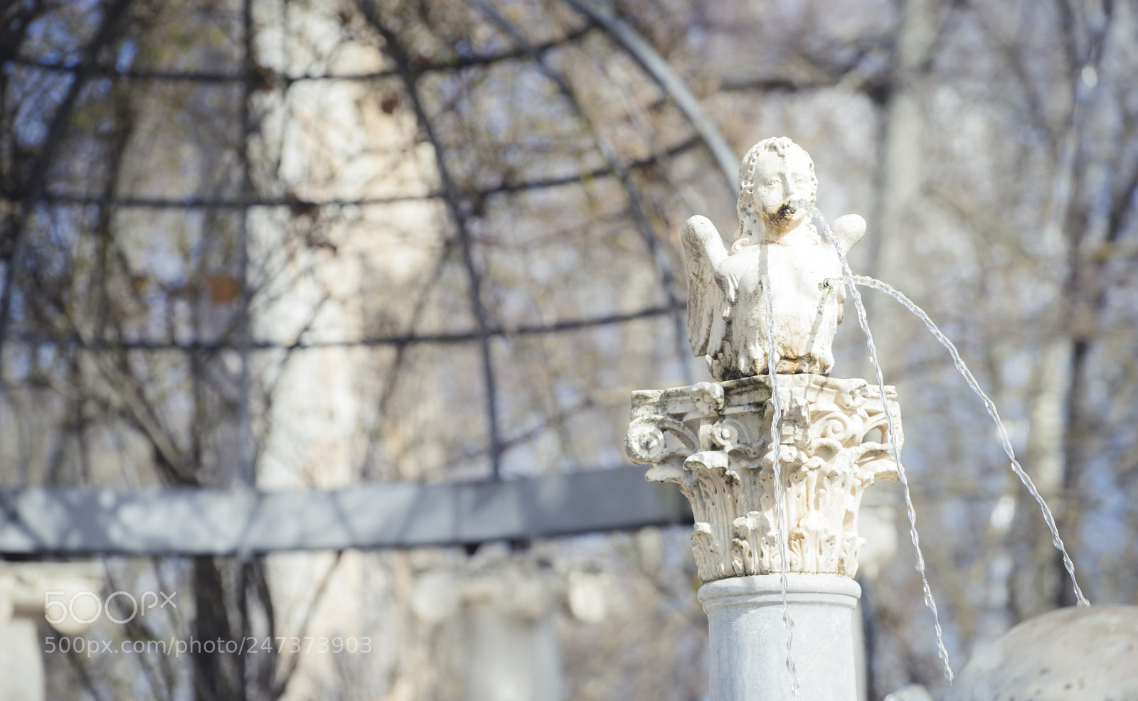 Sony a7 sample photo. Gardens of the city photography