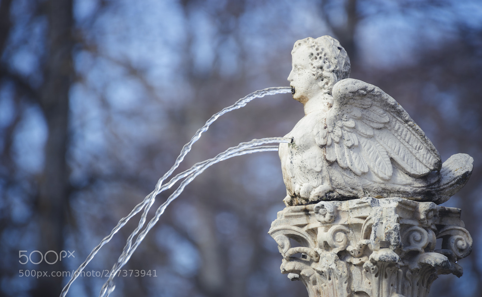 Sony a7 sample photo. Gardens of the city photography
