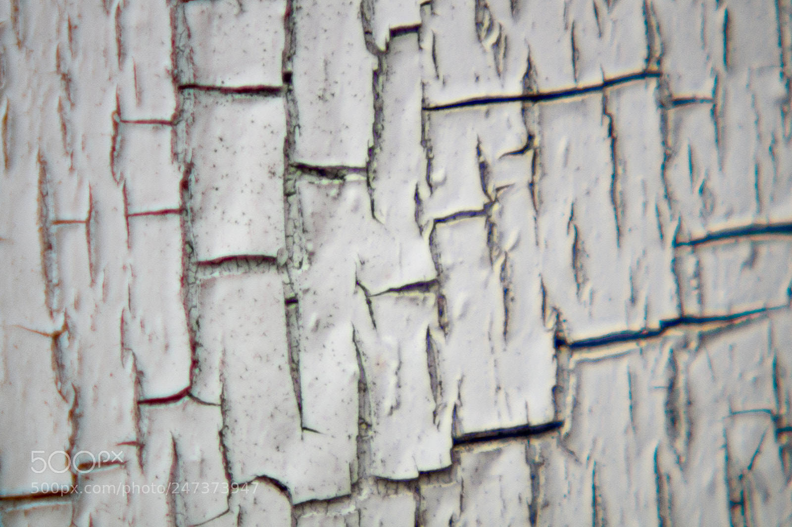 Sony SLT-A58 sample photo. Old paint on wood photography