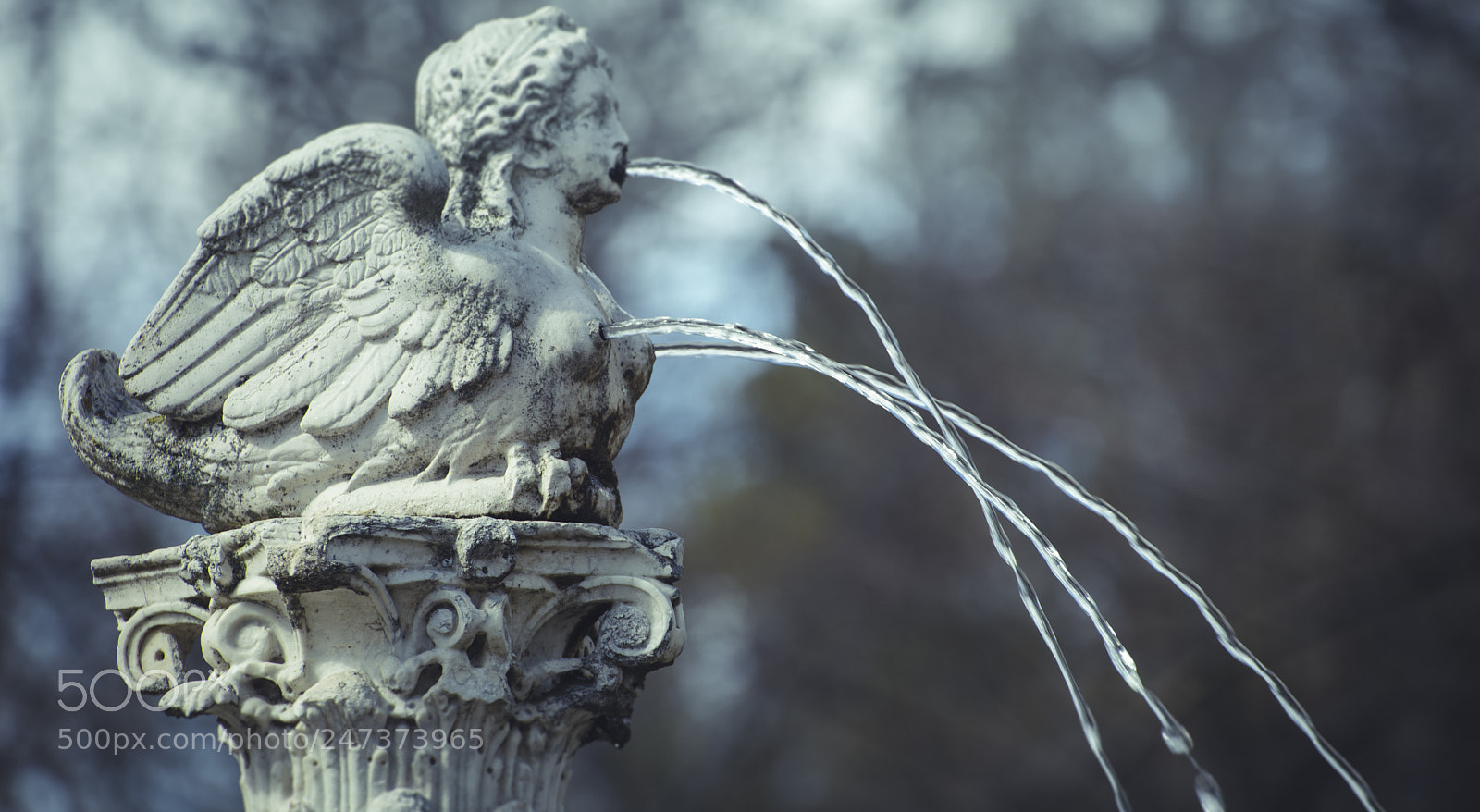 Sony a7 sample photo. Angel, water fountains with photography