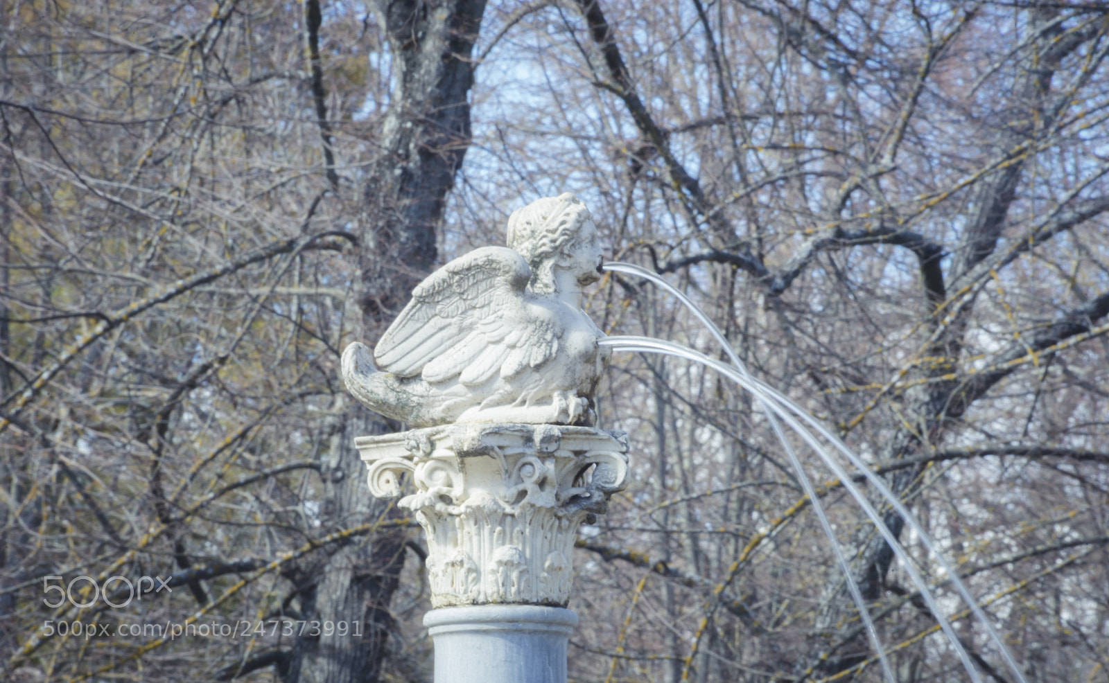 Sony a7 sample photo. Gardens of the city photography